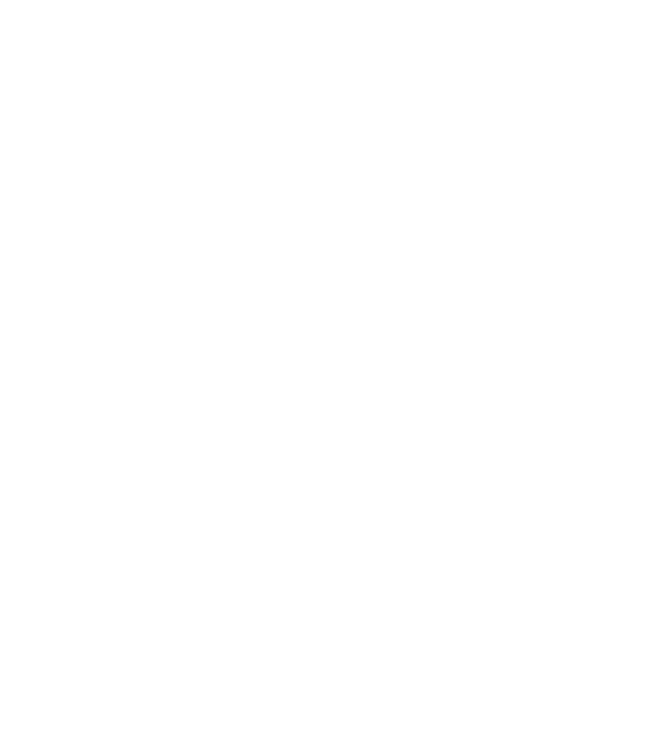 The IT Guy logo